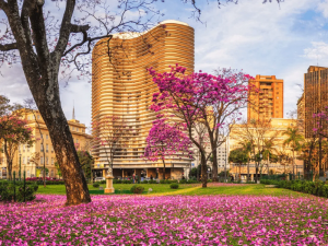 Read more about the article Belo Horizonte