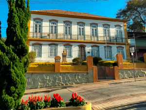 Read more about the article Oliveira