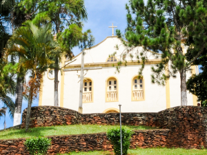Read more about the article Onça de Pitangui