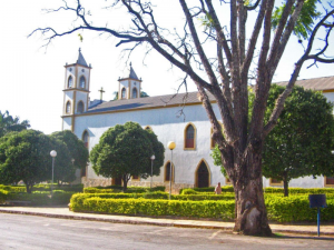 Read more about the article Pimenta