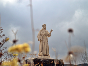 Read more about the article São Roque de Minas