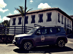 Read more about the article Tapira
